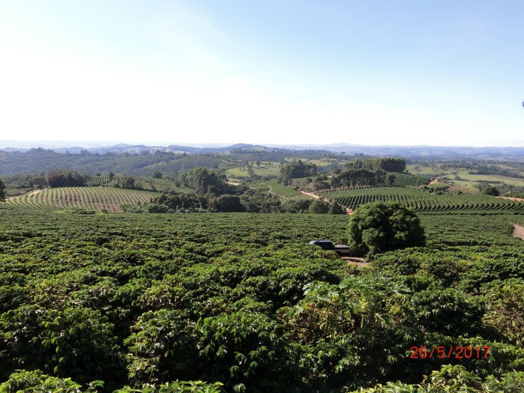 Brésil Mogiana