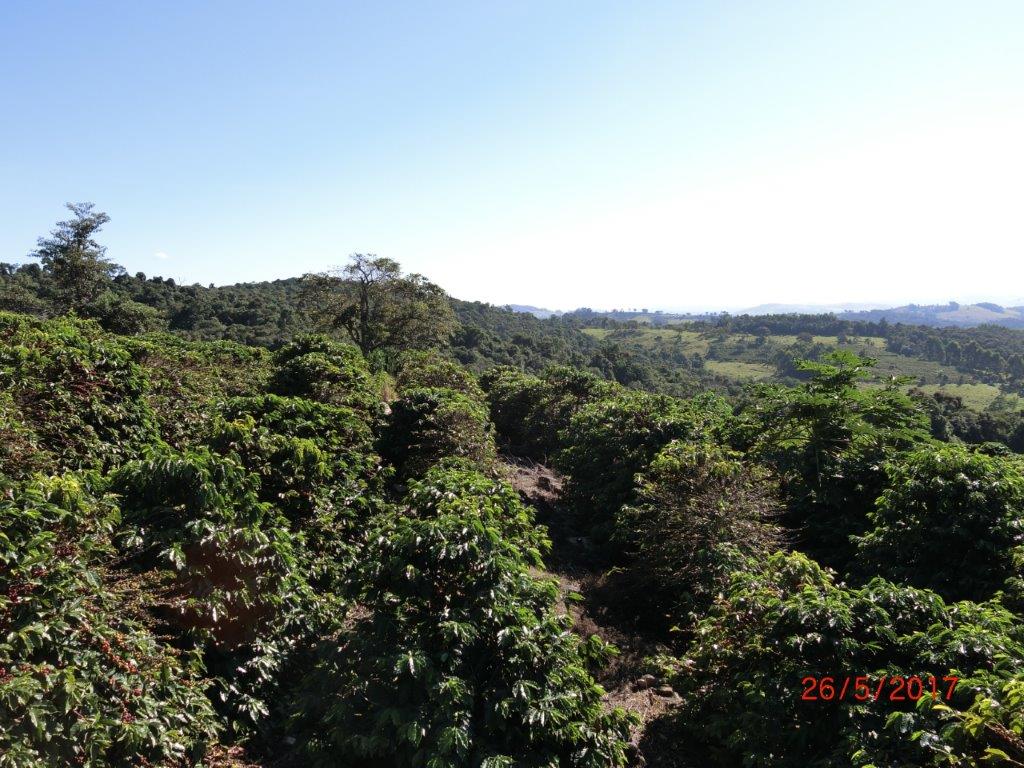 Brésil Mogiana