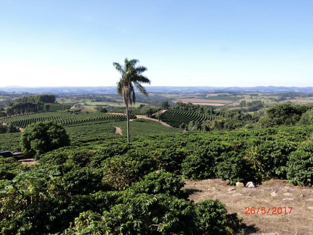 Brésil Mogiana