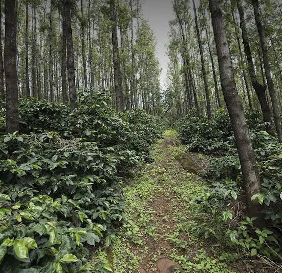 Inde Ratnagiri