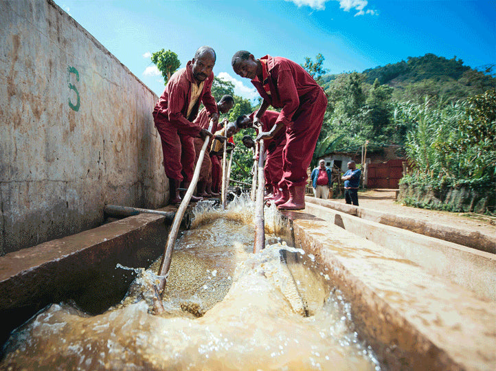 Ethiopie Tanash Girma