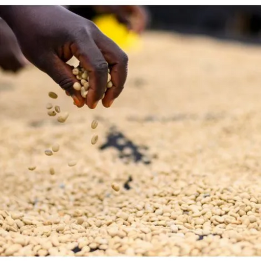 Kenya Kamundu