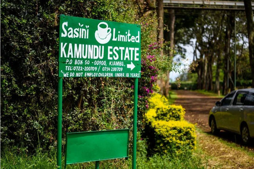 Kenya Kamundu