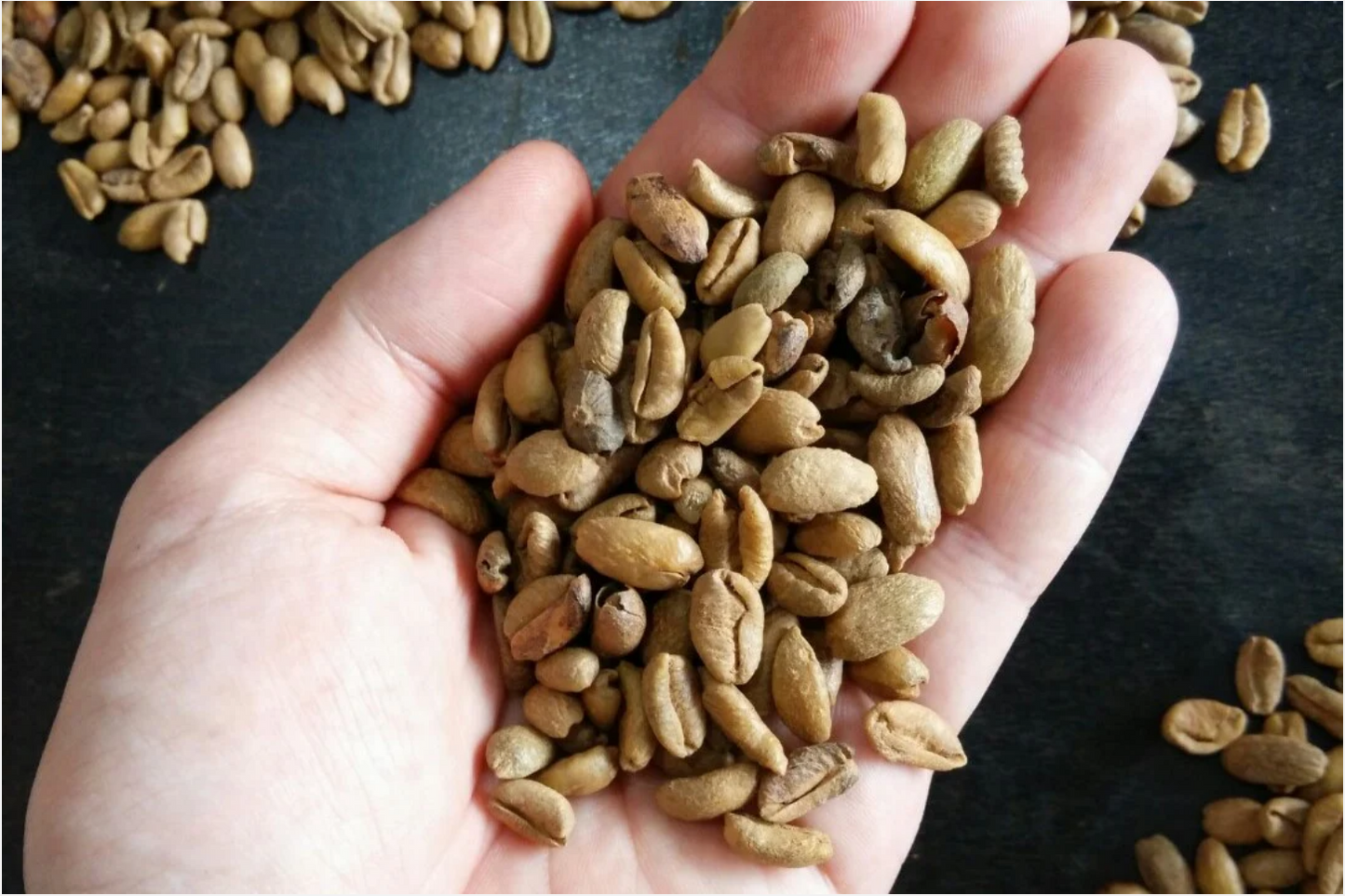 Malaisie Kebun Malaya - Collection Wouaw !