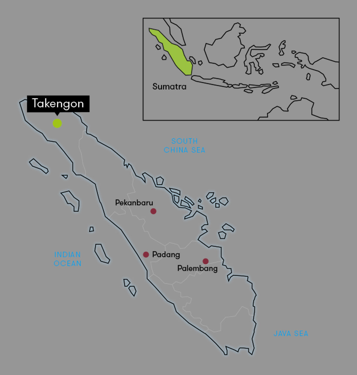 Sumatra Takengon