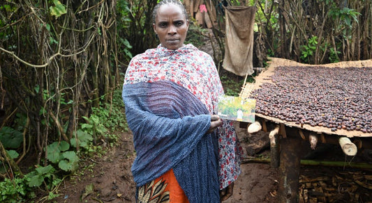 Ethiopie Tanash Girma